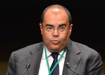 محمود محيى الدين النائب الأول لرئيس البنك الدولى