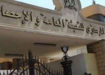 الإحصاء : 32.4% ارتفاعاً في صادرات مصر لدول الكوميسا خلال  9 أشهر