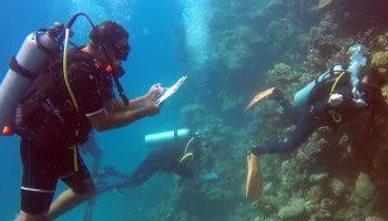 «السياحة» تشكل لجنة لحل مشكلات  مراكز الغوص