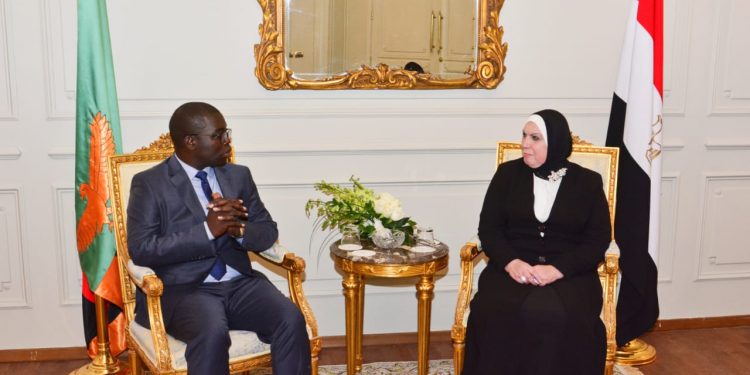 وزيرة الصناعة تبحث مع نظيرها الزامبي تفعيل تفعيل مجلس الأعمال المشترك