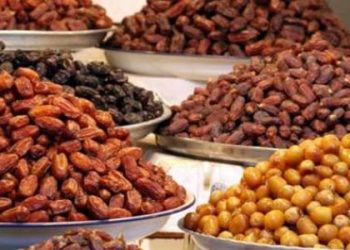 التصديري للصناعات الغذائية