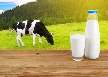 الزراعة : إعتماد ٣٨٨ مليون جنيه لتمويل تطوير مراكز تجميع الألبان