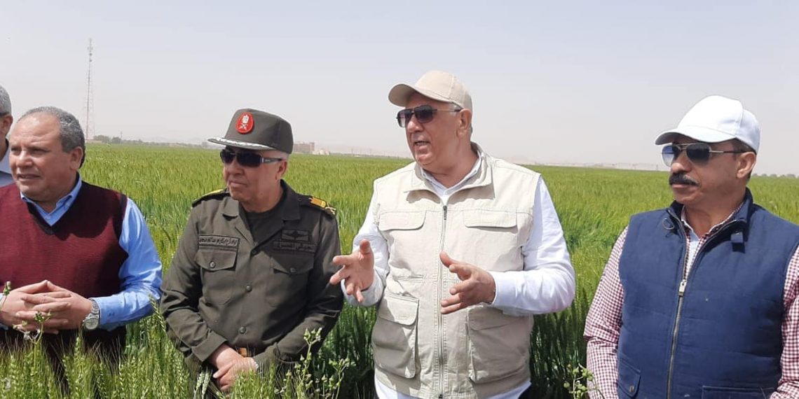 وزير الزراعة : محصول القمح بخير والدولة تدعم الإستثمار الأجنبي