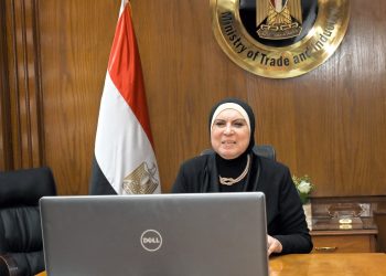 وزيرة الصناعة : دور ريادي لمنظمات العمل العربي في تنمية المواطن