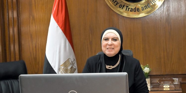 وزيرة الصناعة : دور ريادي لمنظمات العمل العربي في تنمية المواطن