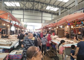 سوق الأسماك الجديد بحي العرب يشهد إقبالا كبيرا من المواطنين