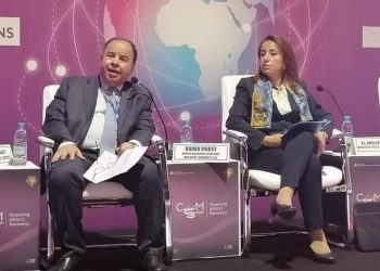وزير المالية : صناديق «تحوط مشتركة» لحماية الاقتصادات الأفريقية من الصدمات العالمية
