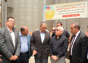 بدء استلام القمح المحلي بصوامع المنطقة الصناعية جنوب بورسعيد