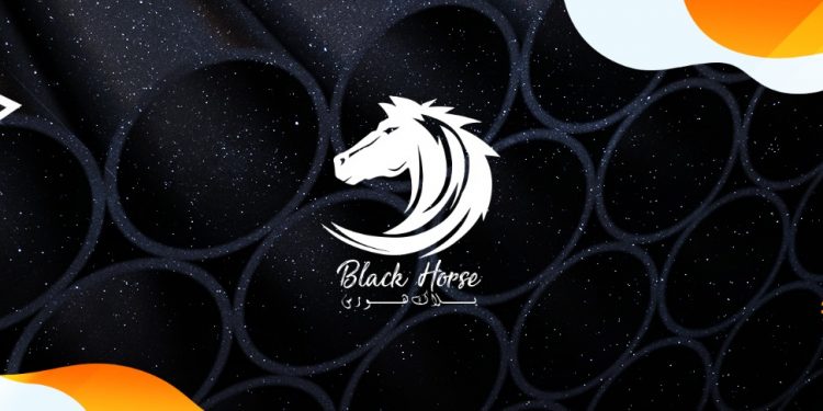 شركة بلاك هورس تشارك في المعرض الدولي السادس للتبريد والتكييف HVAC