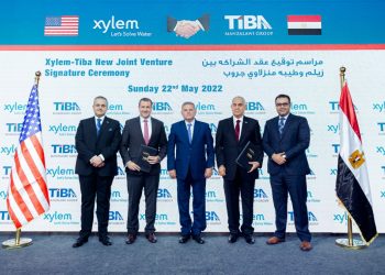 طيبة المنزلاوي