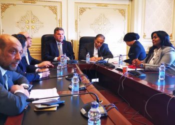 وزير قطاع الأعمال: تسجيل 18 ألف منتج على الكتالوج الإلكتروني للترويج للصادرات المصرية