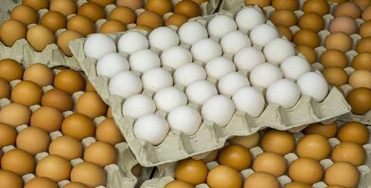 “حماية المنافسة” يحرر دعوى جنائية ضد سماسرة البيض للإتفاق على الأسعار