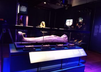 السياحة : افتتاح معرض "رمسيس وذهب الفراعنة" في محطته الثانية بسان فرانسيسكو بأمريكا