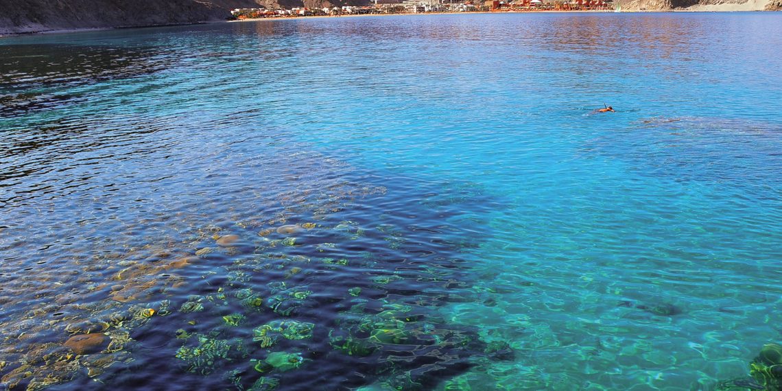 السياحة تمنح 118 منشأة فندقية مهلة لتوفيق أوضاعها