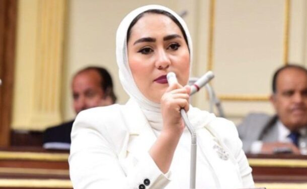 آية فوزي فتى : التوسع في استثمارات الطاقة المتجددة لـ3.5 مليار دولار خطوة هامة نحو المستقبل 