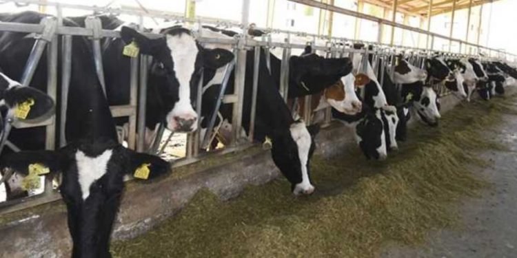 اتحاد التأمين يكشف أهمية استخدام موجات الراديو في تأمين الثروة الحيوانية