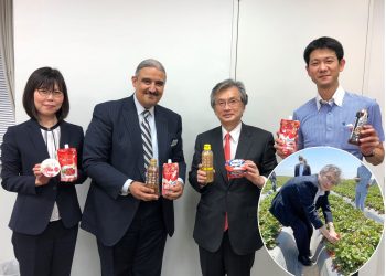 السفارة اليابانية : مصر المُصدر الأول للفراولة المجمدة إلى اليابان