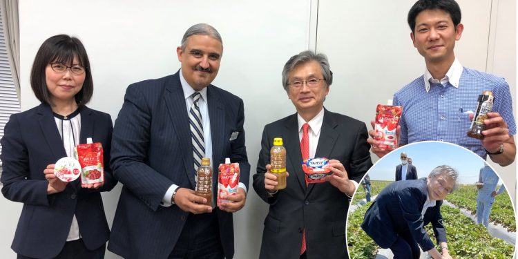 السفارة اليابانية : مصر المُصدر الأول للفراولة المجمدة إلى اليابان