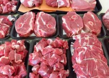 شعبة المستوردين: الإفراج عن 30% من  اللحوم المستوردة المكدسة بالموانئ