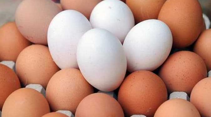 تعرف على أسعار البيض في مصر اليوم الثلاثاء 4-10-2022