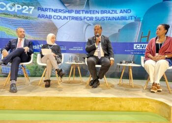 علي هامش مشاركته في قمة المناخ COP 27 .. د خالد حنفي: يجب الاستفادة من قدرات البرازيل في سوق الكربون