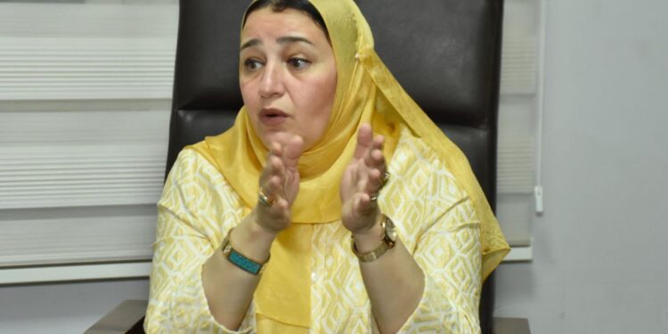 د. عبير عصام : «الأعلى للاستثمار» يدعم سرعة اتخاذ القرار