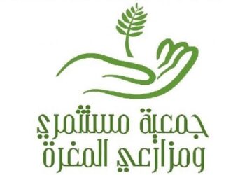 ” مستثمري المغره” : مصر تنتج زيت الجوجوبا صديق البيئه بكميات كبيرة