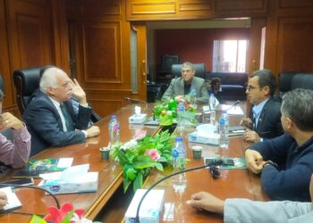 شعبة التسمين تعلن عن خطة جديدة لخفض تكلفة إنتاج الدواجن