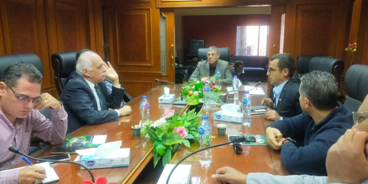 شعبة التسمين تعلن عن خطة جديدة لخفض تكلفة إنتاج الدواجن