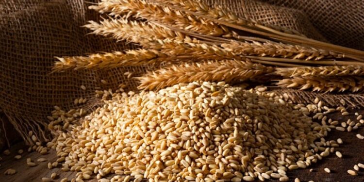 غرفة الحبوب : البورصة السلعية ساهمت في خفض سعر القمح الى 11 ألف جنيه للطن