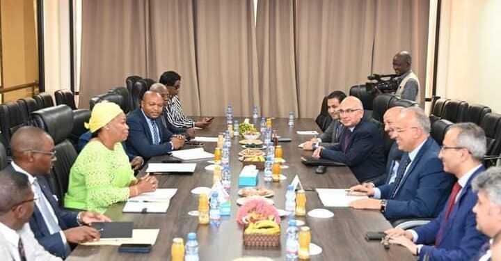 وزير الري يكشف عن حصاد زيارته للكونغو الديمقراطية وكينيا