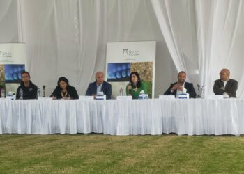 هيكل: 380 مليون جنيه استثمارات جديدة لشركة القلعة في مزارع دينا