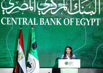 المشاط :التمويل المناخي المتاح يمثل 14% فقط من الاحتياجات التمويلية على مستوى العالم