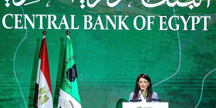 المشاط :التمويل المناخي المتاح يمثل 14% فقط من الاحتياجات التمويلية على مستوى العالم