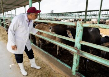 “مصر الخير” تطلق حملة “صك الأضحية” للعام التاسع على التوالي