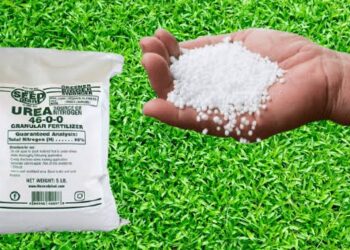 عاجل – الاتحاد الاوروبي يوافق علي طلب مصر بالغاء الرسوم الجمركية علي صادرات اليوريا والامونيا المصرية