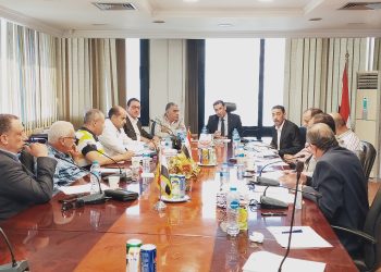 «صناعة الجلود» تطالب وزير الصناعة باستمرار حظر تصدير «الويت بلو» ومنع صادرات مخلفات الجلد