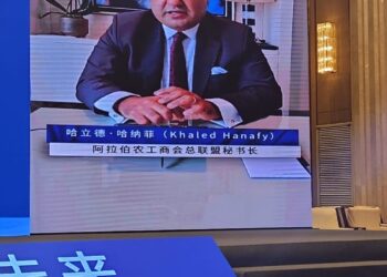 خالد حنفي : 431.4 مليار دولار حجم التبادل التجاري بين الصين والدول العربية في 2022