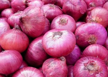 عاجل .. مجلس الوزراء يوافق على إيقاف تصدير البصل لمدة 3 أشهر