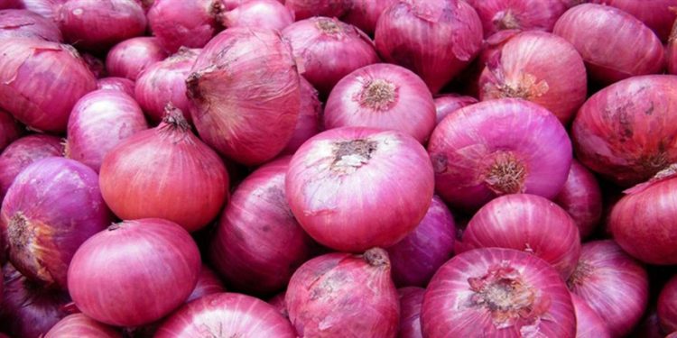 عاجل .. مجلس الوزراء يوافق على إيقاف تصدير البصل لمدة 3 أشهر