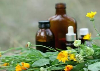 “معلومات الوزراء”: مصر تحتل المرتبة الرابعة عالمياً في تصدير الأدوية العشبية لعام 2022