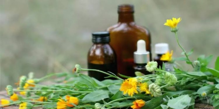 “معلومات الوزراء”: مصر تحتل المرتبة الرابعة عالمياً في تصدير الأدوية العشبية لعام 2022