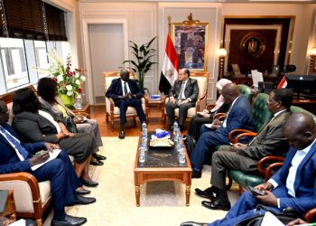 وزير الصناعة يستقبل نظيره الجنوب سوداني بمقر الوزارة بالعاصمة الإدارية