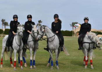 بورت غالب تنظم مهرجان السياحة الرياضية لدعم وتنشيط السياحة في البحر الأحمر.. 29 ديسمبر