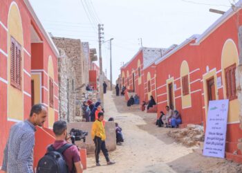 كايرو فستيفال سيتي مول يتعاون مع الأورمان في مبادرة “ستر ودفا”