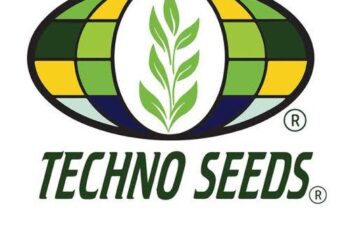 شركة «تكنو سيدز لتكنولوجيا البذور» تنفي علاقتها بصفحة الفيس بوك بعد تعرضها للاختراق