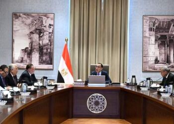 عاجل .. رئيس الوزراء يوجه بإفراج تدريجي عن السلع في الجمارك.. والأولوية للغذائية والأدوية