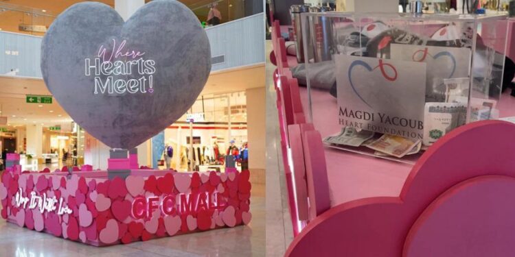 كايرو فستيفال سيتي مول يواصل شراكته مع «مجدي يعقوب» لدعم مرضى القلب