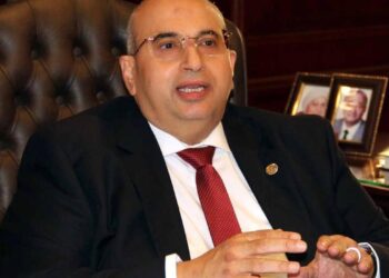 خبراء الضرائب: 60% من التجارة الإلكترونية في مصر تعمل خارج المنظومة الرسمية