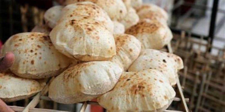 عاجل .. الحكومة تقرر رفع سعر رغيف الخبز المدعم إلى 20 قرشا اعتبارا من أول يونيو